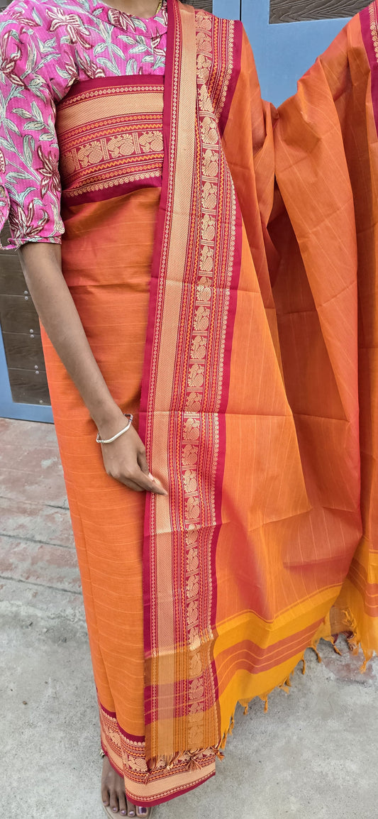 Kanchi Cotton - KC11