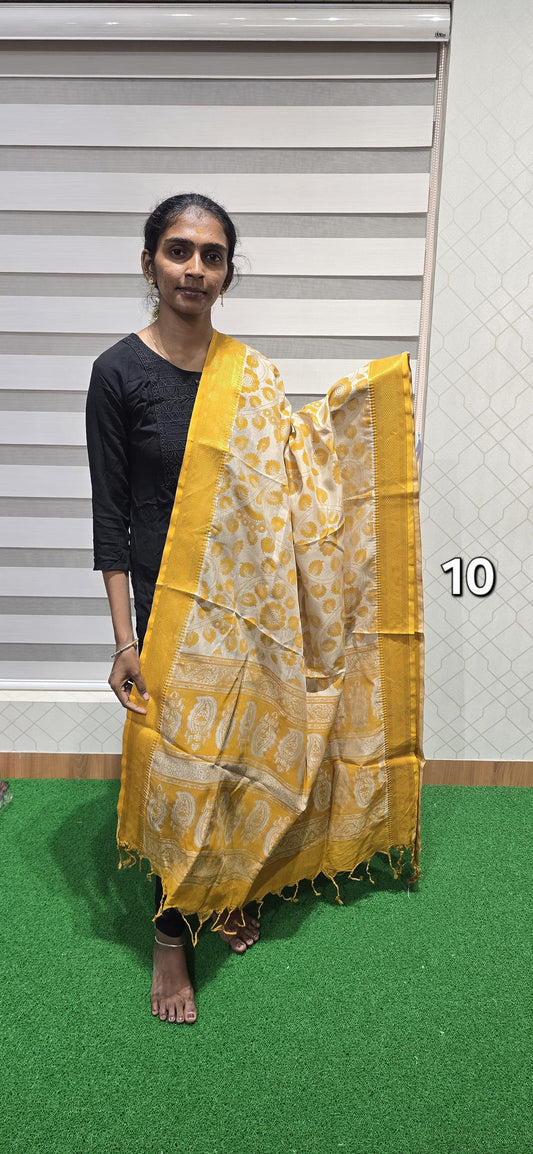 Chennuri Kalamkari Silk Dupatta P10