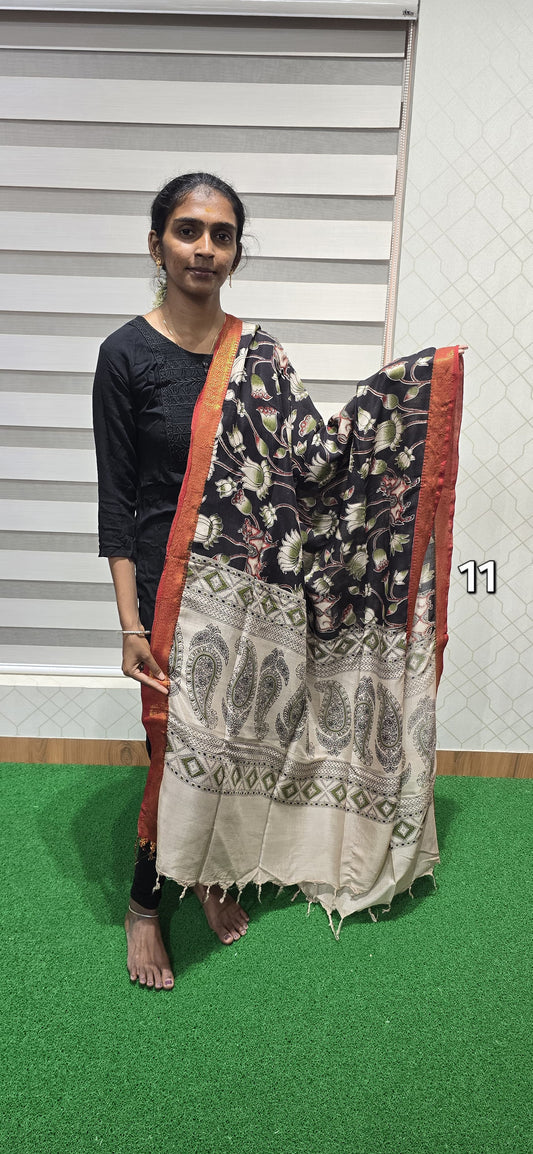 Chennuri Kalamkari Silk Dupatta P11