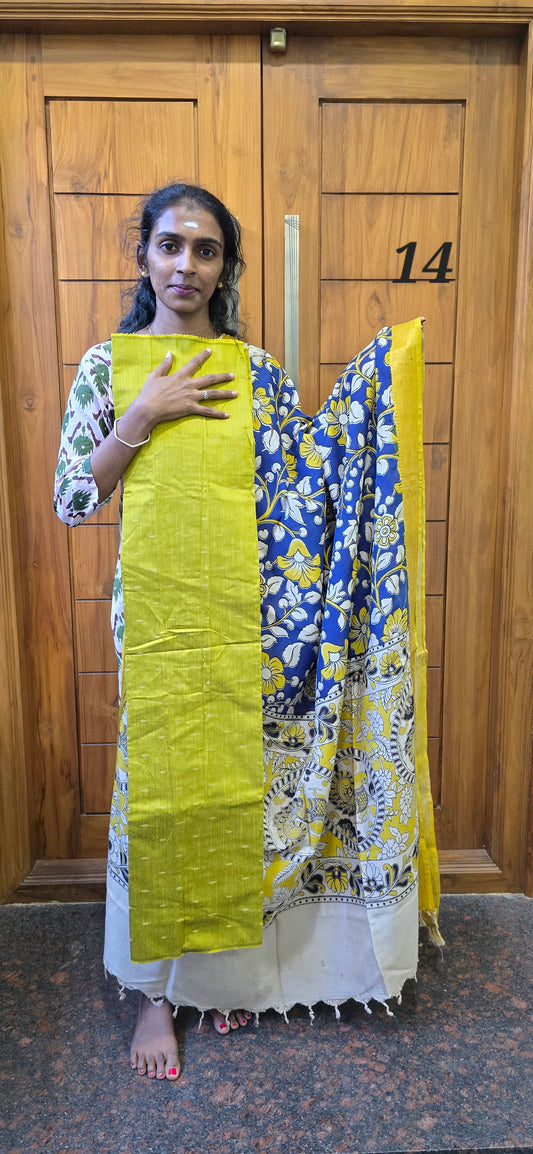 Raw silk with Chennuri silk Dupatta - RC14