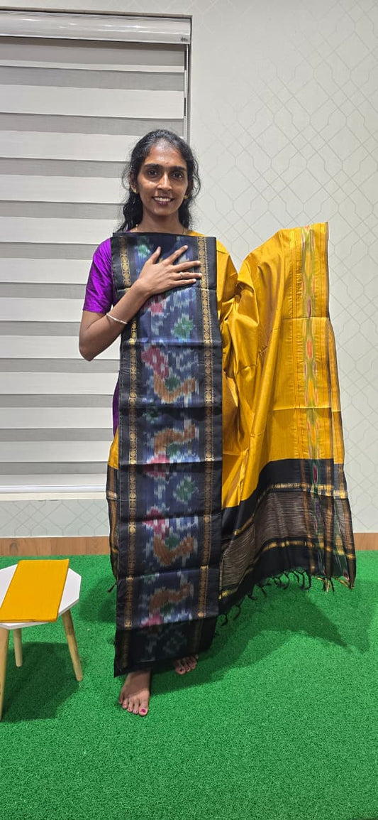 Pochampalli Ikkat Sico with border dupatta - PIS14
