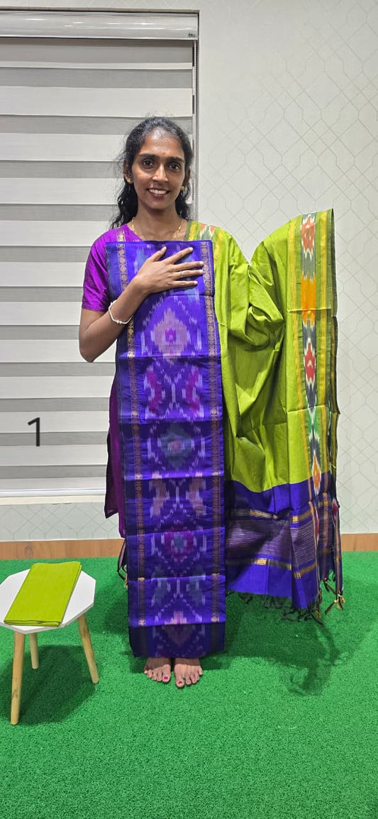 Pochampalli Ikkat Sico with border dupatta - PIS01