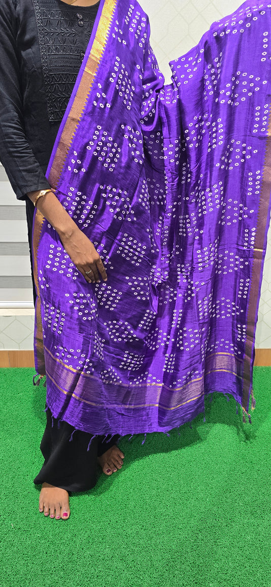Chennuri Kalamkari Silk Dupatta - P21