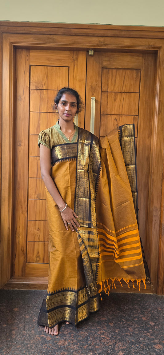 Kanchi Cotton - KCN01