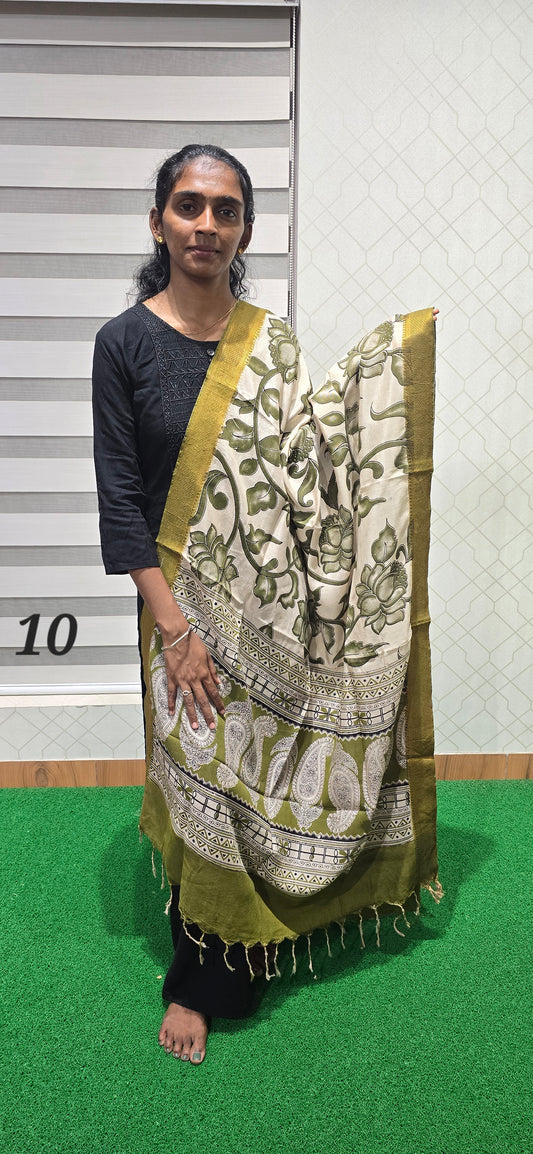 Chennuri Kalamkari Silk Dupatta - P10