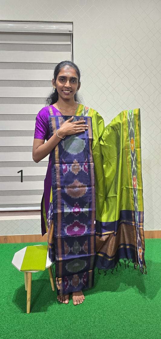 Pochampalli Ikkat Sico with border dupatta - PIS01