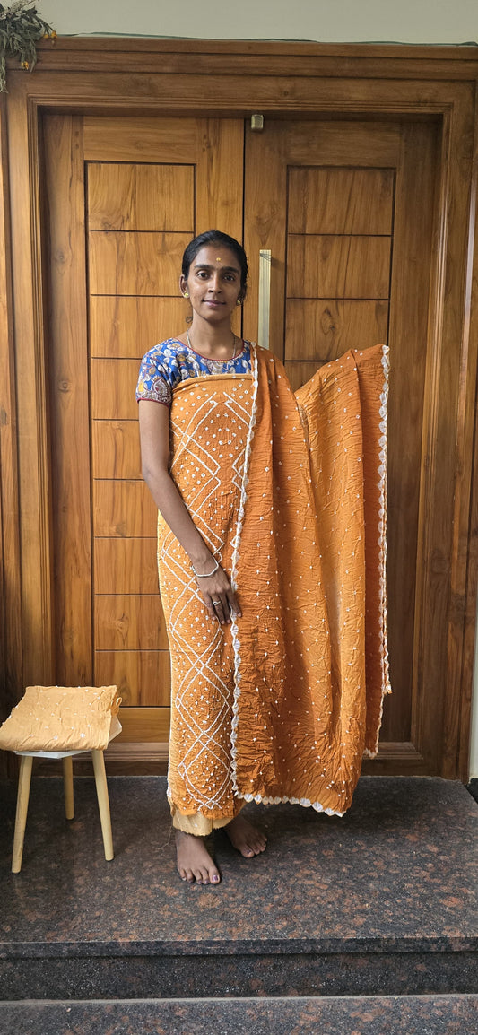 Bandhini Salwar - BS06