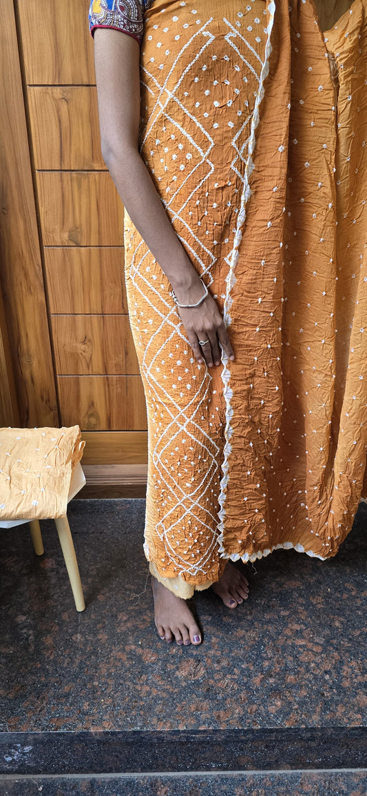 Bandhini Salwar - BS06