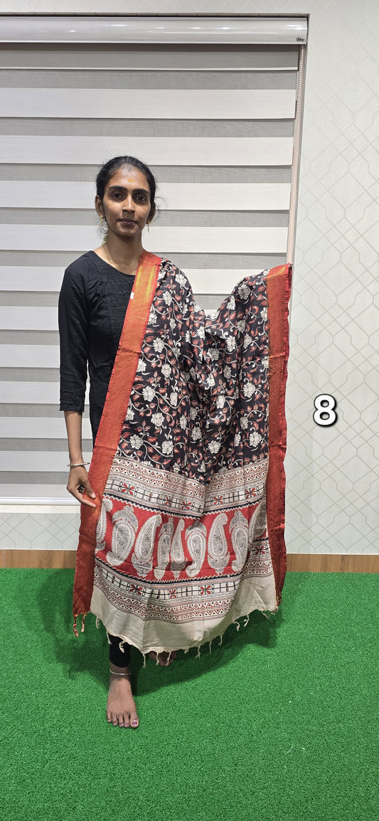Chennuri Kalamkari Silk Dupatta P08