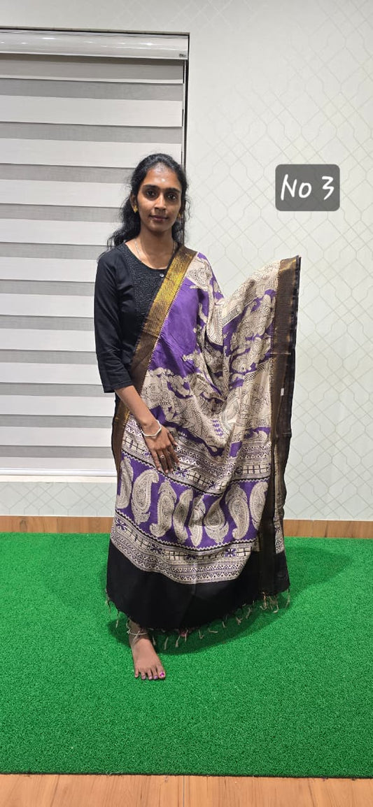 Chennuri Kalamkari Silk Dupatta P3