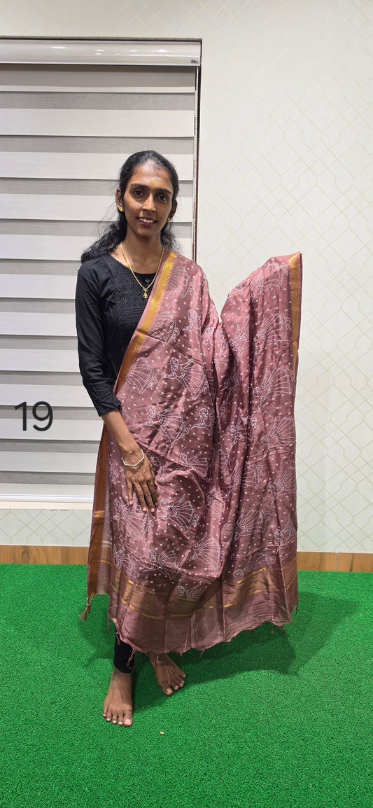 Chennuri Kalamkari Silk Dupatta - P19