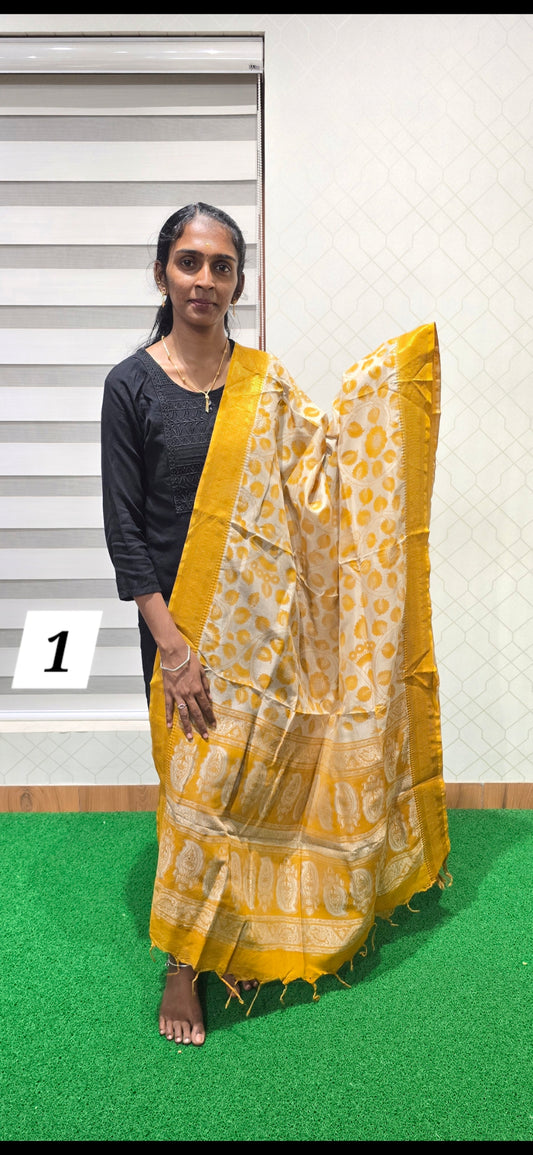 Chennuri Kalamkari Silk Dupatta - P01