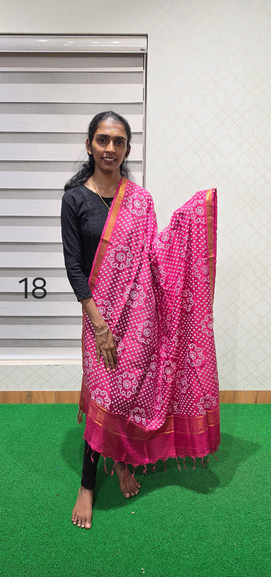 Chennuri Kalamkari Silk Dupatta - P18