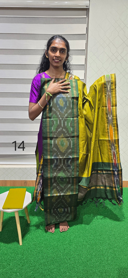 Pochampalli Ikkat Sico - PIS14