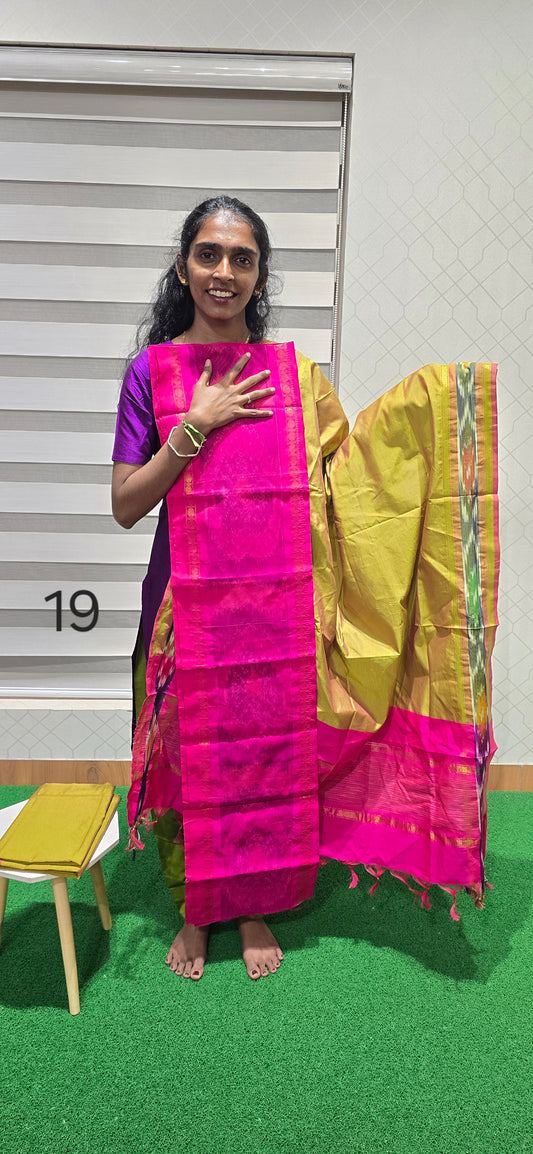 Pochampalli Ikkat Sico - PIS19