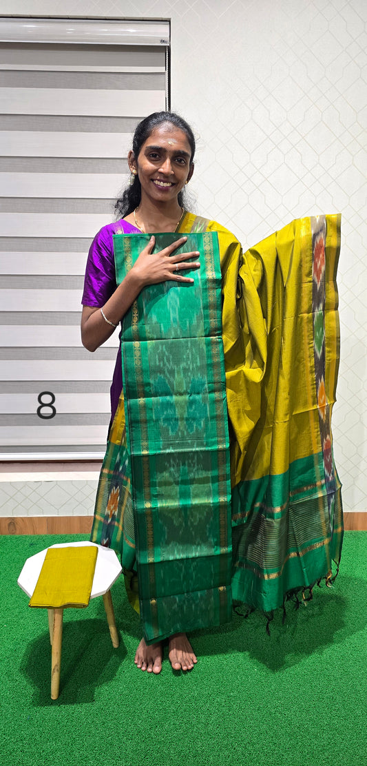 Pochampalli Ikkat Sico with border dupatta - PIS08