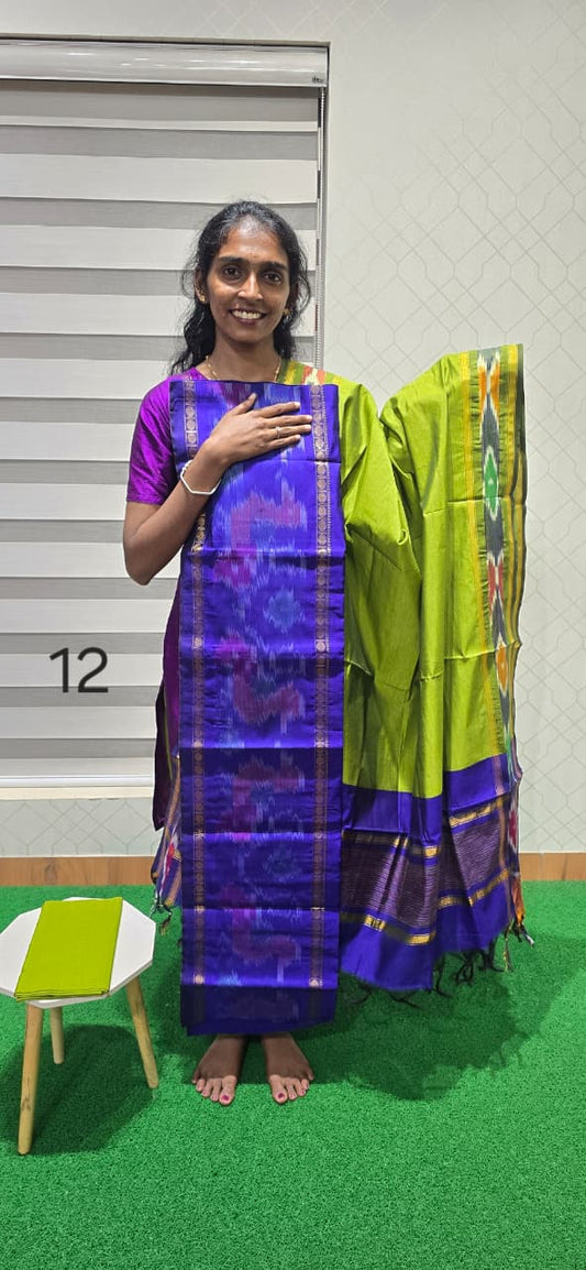 Pochampalli Ikkat Sico with border dupatta - PIS12