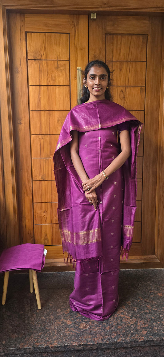 Festival Special Launch - 04