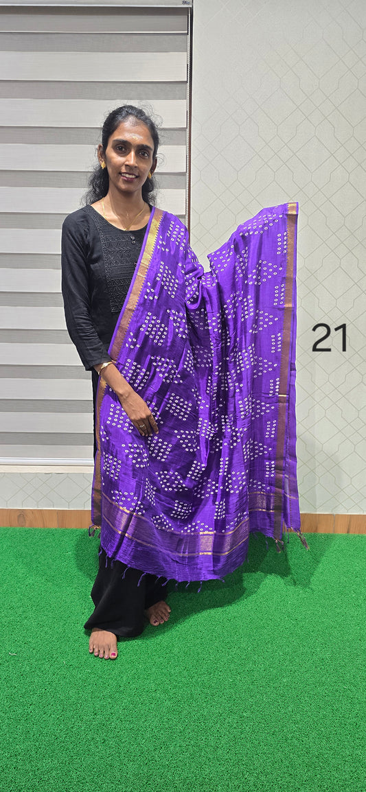 Chennuri Kalamkari Silk Dupatta - P21